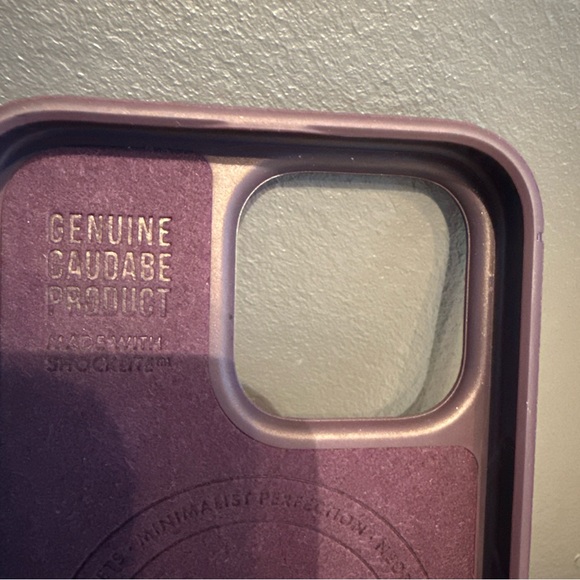 iPhone 16 Pro Max MagSafe Caudabe Case Amethyst Purple - Picture 2 of 16